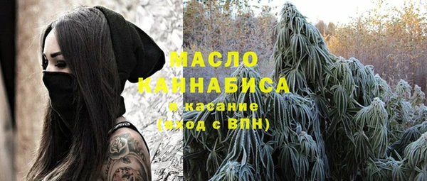 ECSTASY Алзамай