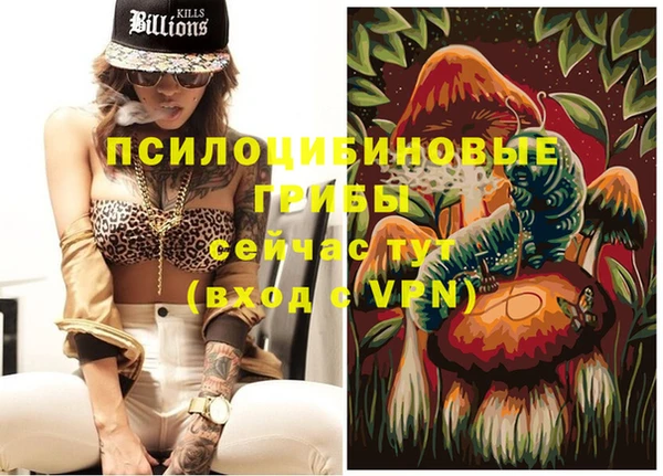 spice Абаза