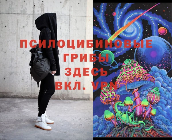 ECSTASY Алзамай