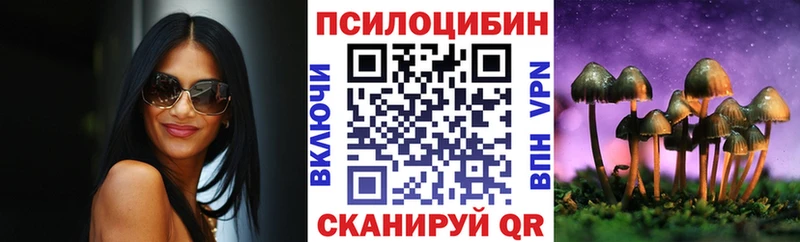 Псилоцибиновые грибы Psilocybe  Вилючинск 