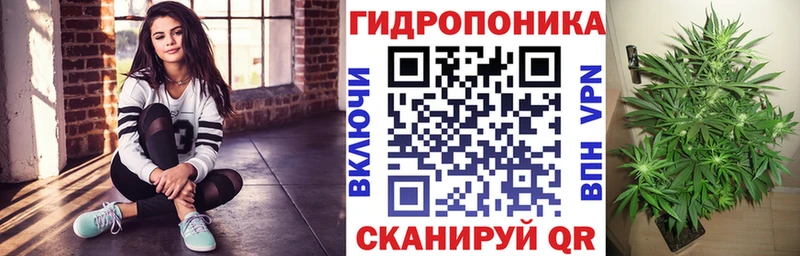 Марихуана индика ссылка на мегу онион Вилючинск